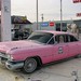 Ann Fry Photo 31