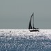 Joseph Burkhart Photo 5