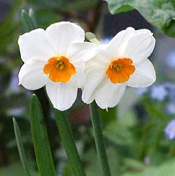 Amy Griggs Photo 25