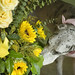 Lance Robins Photo 4