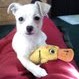 Robyn Cronin Photo 4