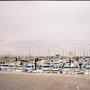 Judy Ward Photo 14
