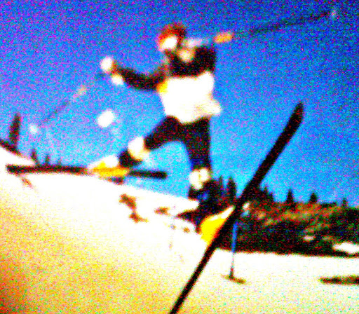 Tracey Potter Photo 4