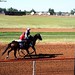 Anthony Downs Photo 22