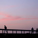 Mary Horta Photo 15