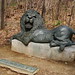 Mary Haggerty Photo 24