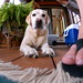 Ruby Tupper Photo 3