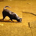 Robert Spaulding Photo 11