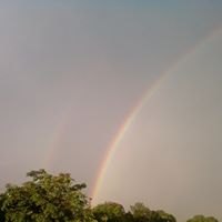 Kathy Pappas Photo 17
