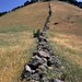 John Sutter Photo 44