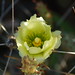 Tom Knuth Photo 19