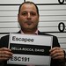 David Rocca Photo 41