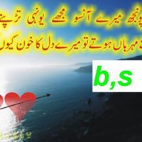 Muhammad Sajjad Photo 19