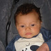 Stanley Wilkinson Photo 6