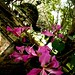 Dick Leong Photo 6