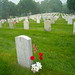 Teresa Kennedy Photo 12
