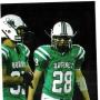 Michael Singletary Photo 43