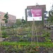 Allan Macdonald Photo 41