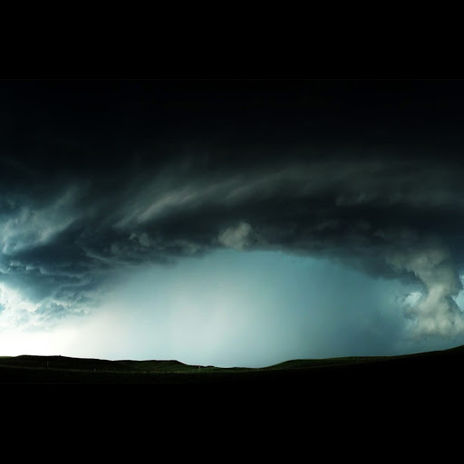 Michael Verrill Photo 16