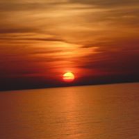 Diane Robbins Photo 24
