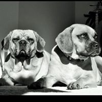 Lisa Furey Photo 14