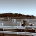 Martha Dyke Photo 14