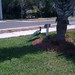Laura Peacock Photo 15