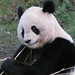Hui Fu Photo 19