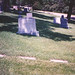 Roy Dutton Photo 20