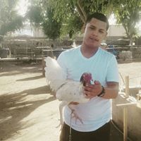Ramon Felix Photo 16