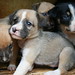 Kenya Ellis Photo 26