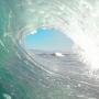 Tom Monaghan Photo 22