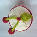 Susan Rowan Photo 33