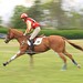 Boyd Martin Photo 16