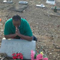 Bryant Harris Photo 18