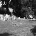 Eileen Andrews Photo 41
