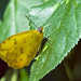 Julia Waters Photo 38