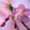 June Yu Photo 11