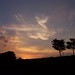 Leigh Lewis Photo 31