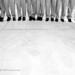 Elisa Robles Photo 18