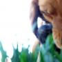 Ginger Evans Photo 13