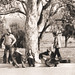Debbie Fraley Photo 33