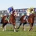 Russell Meadows Photo 32