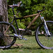 Travis Brown Photo 24