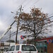Douglas Robie Photo 5
