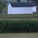 Victoria Strasburg Photo 7