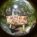 Julie Potter Photo 6
