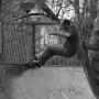 Martin Ellis Photo 29