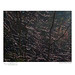 Dawn Starkey Photo 16