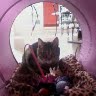 Jennifer Guerin Photo 17